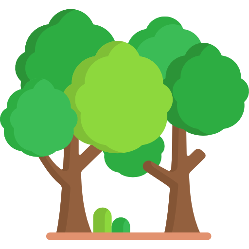 Eco Tourism